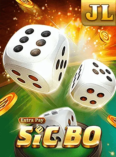 no5 no5